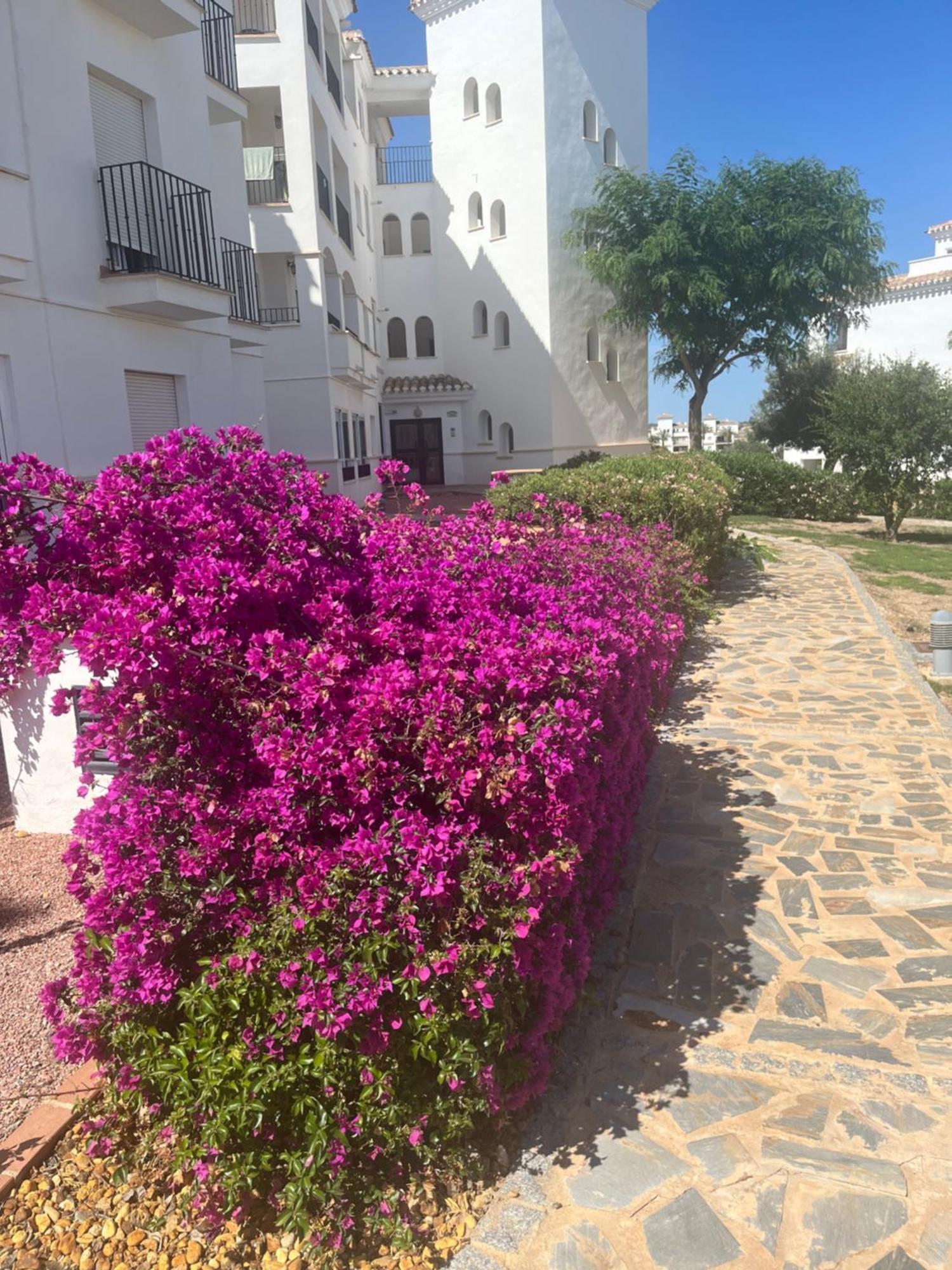 La Casa Rosita, Hacienda Riquelme Golf Resort Sucina Murcia Buitenkant foto